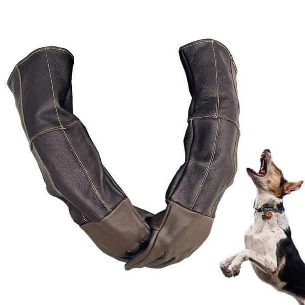 for Dog Cat Parrot Snake Sugar Glider Lizard Egg Turtle Wild Animals Color : Blue JIE KE Animal Handling Gloves Animal Handling Anti-bite/Scratch Gloves Safe Durable Leather Gloves Reusable for Dog Cat Parrot Snake Sugar Glider Lizard Egg Turtle Wild Animals Color : Blue JIE KE Animal Handling Gloves Animal Handling Anti-bite/Scratch Gloves Safe Durable Leather Gloves Reusable
